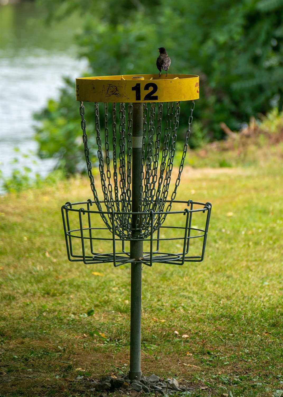 1disc-golf-gcade3c51b_1920