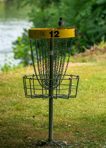 1disc-golf-gcade3c51b_1920