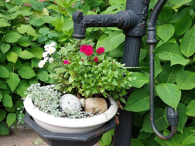 Sommer i kirken