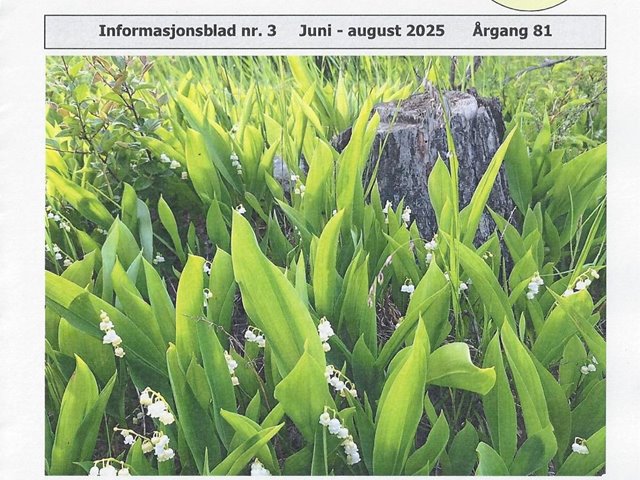 Menighetsbladet