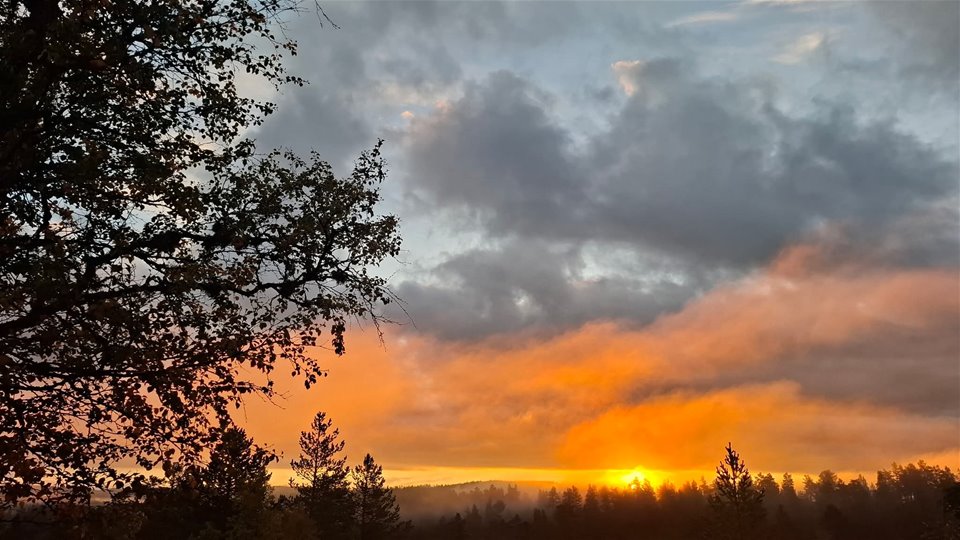 Åpen kirke og Ord for dagen