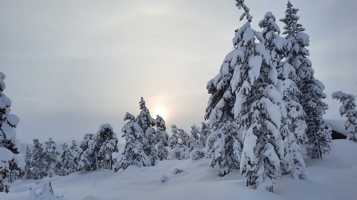 facebook_1767618899008_7413931018588233329