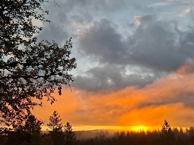 Søndag 8. februar KL: 11.00: GUDSTJENESTE