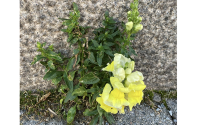 skjermbilde-2025-06-01-kl.-07.40.51